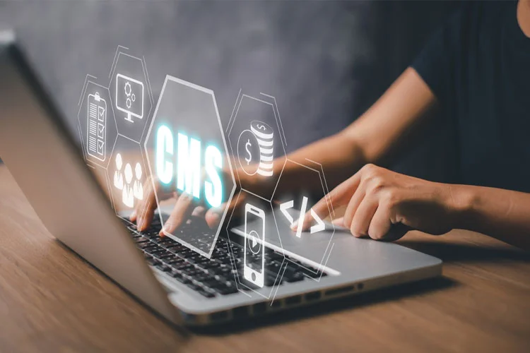 Content Management System (CMS) for Your Mumbai Business