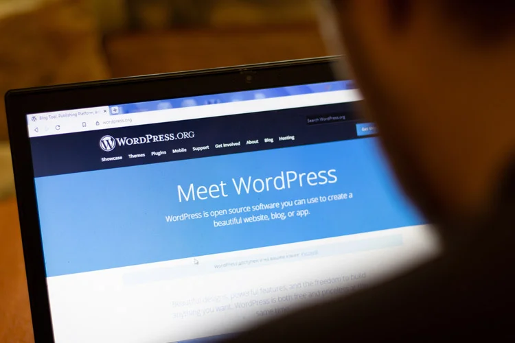 wordpress website cost in india banner image